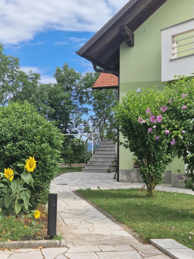 Green House Apartment Pivka Εξωτερικό φωτογραφία